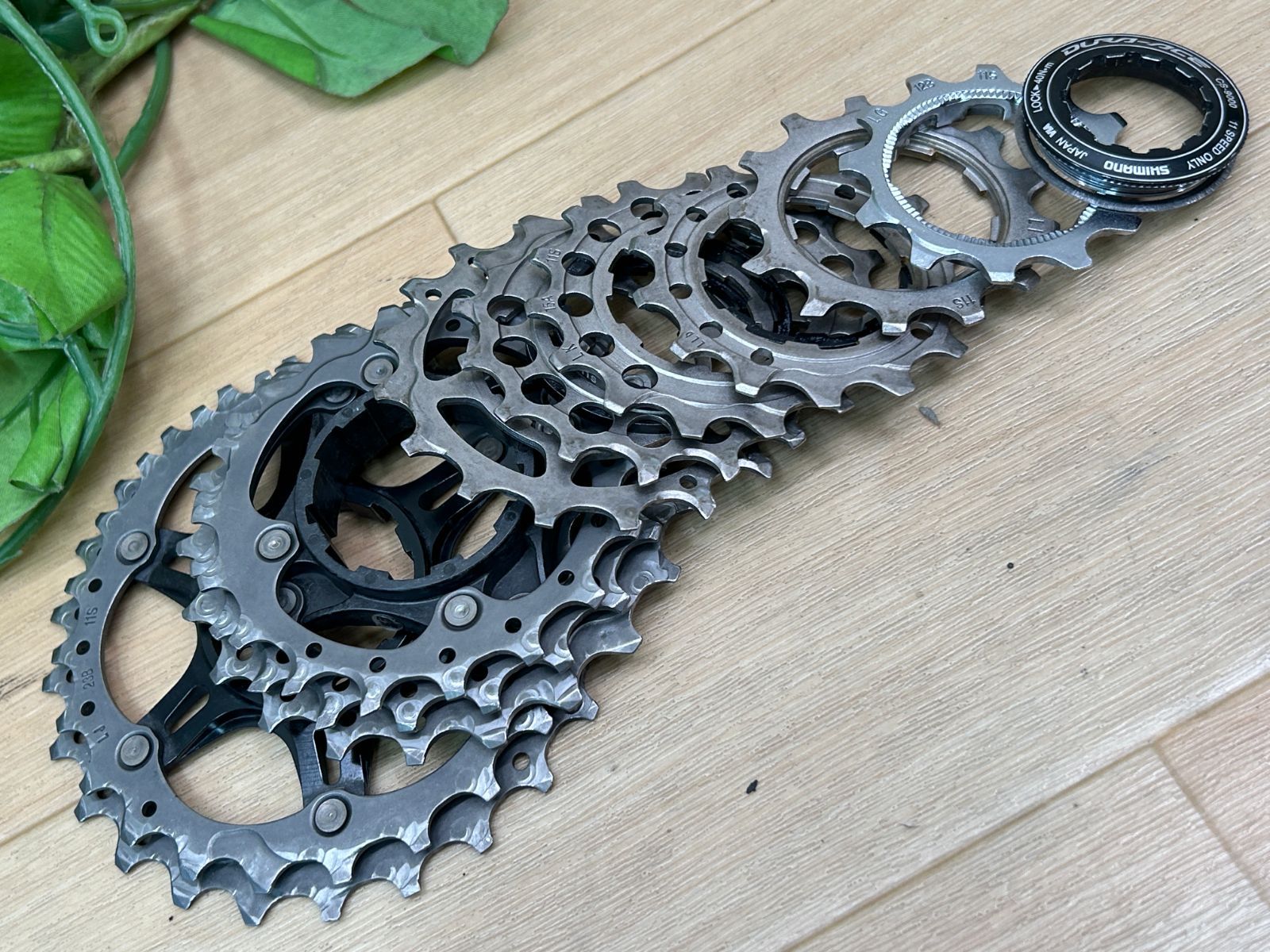 テルスポ イチ推し!!