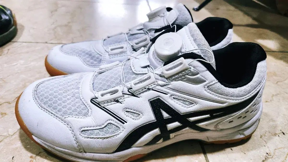 asics アシックス バドミントンシューズ ピンポンシューズ スポーツ大学入試 245