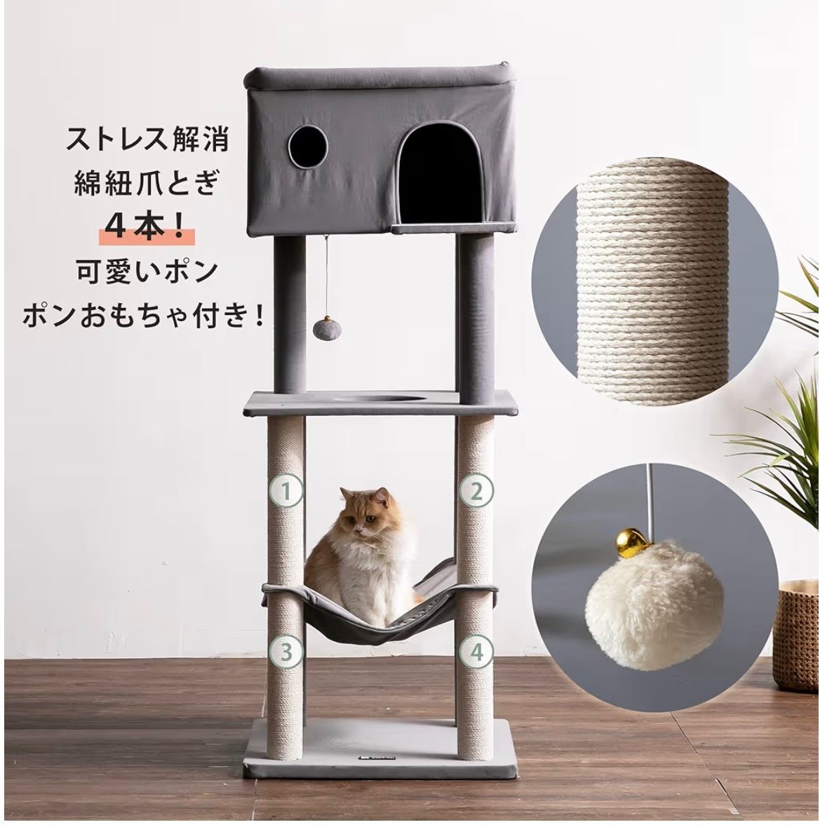 シニア 大型猫