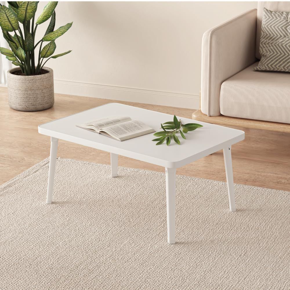 CHUMS バンブーテーブル 100 レッド 新品未使用 チャムス バンブー