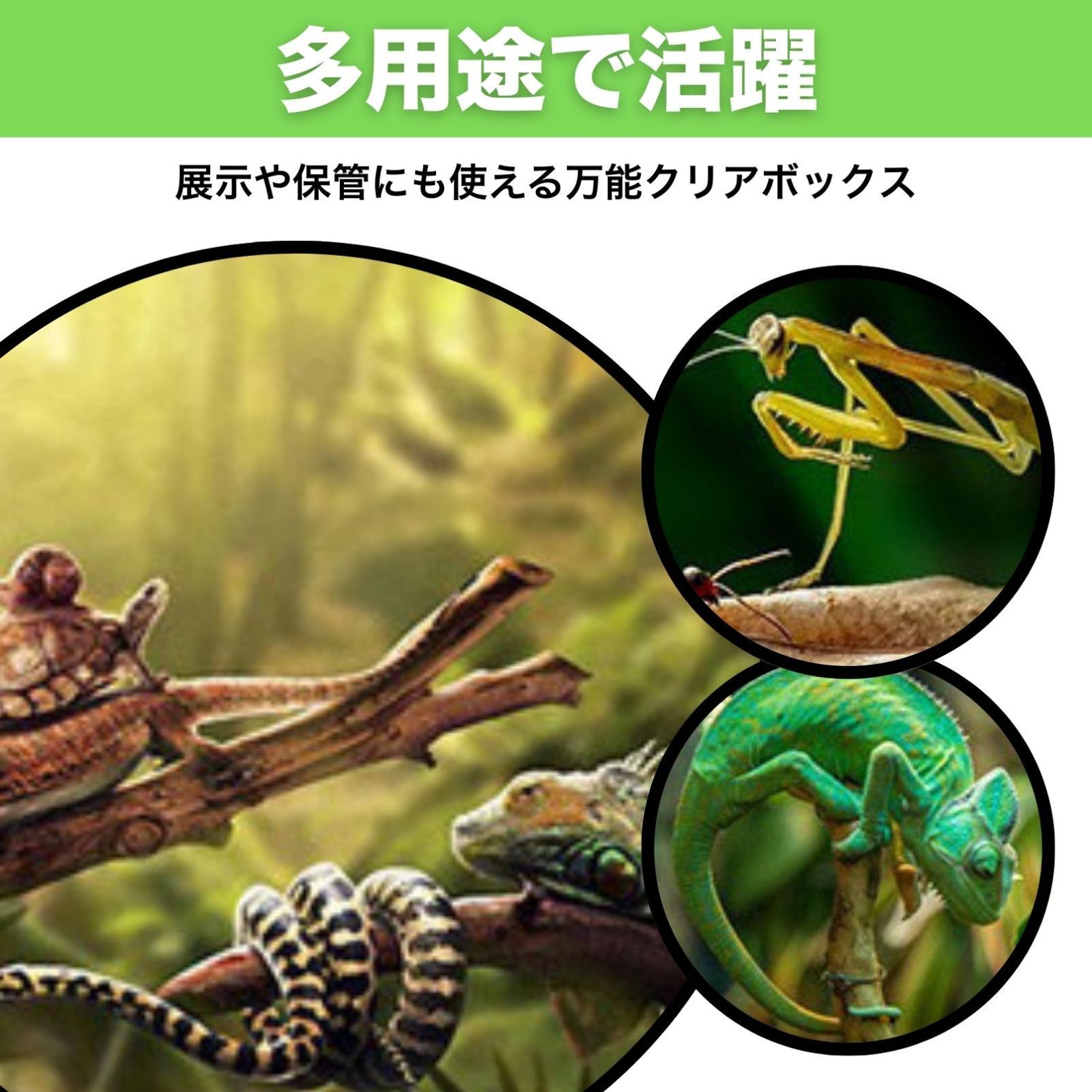 爬虫類 ケージ 透明 ボックス 虫かご 飼育 蛇 蜘蛛 亀 シェルター 単品 