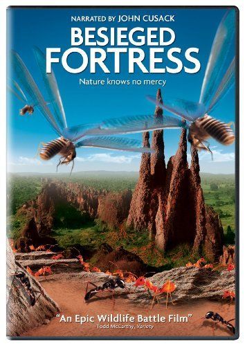 その他 Besieged Fortress [DVD] The Besieged Fortress [DVD] 【公式通販】