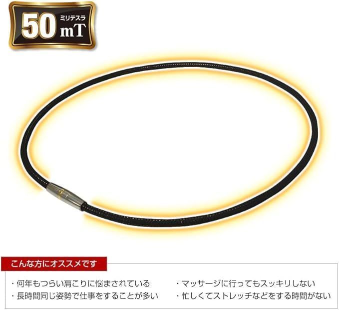 phiten ファイテン RAKUWA磁気チタンネックレス メタルトップ 50cm×2個セット KANDAIZUMI_COM