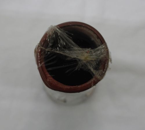 ニューストンライン