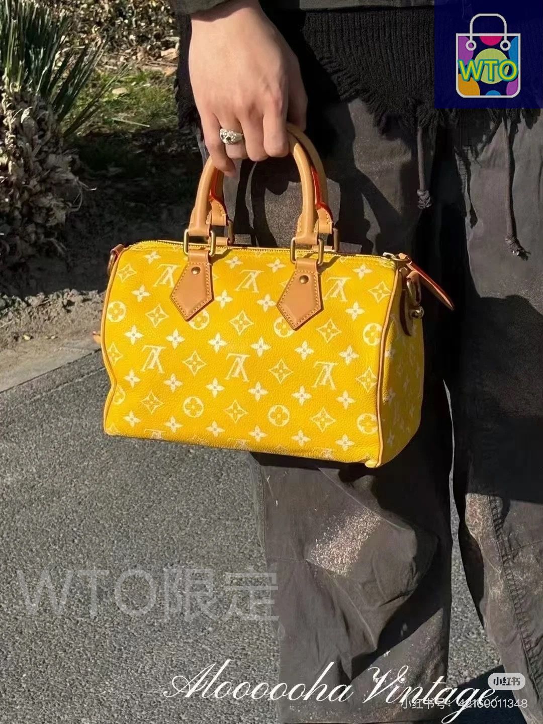 今日特価】Louis Vuitton Speedy 