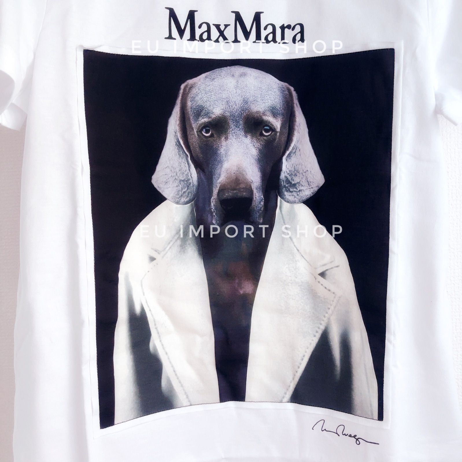 箱無し*MAX MARA CIPRIA[チプリア] ピュア コットン ジャージー