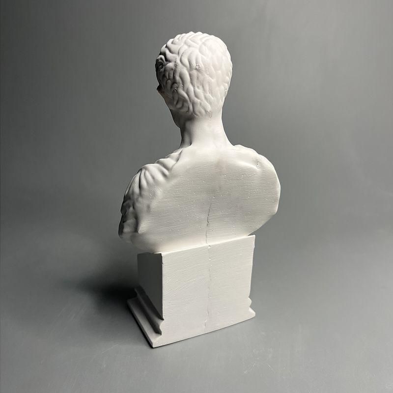 石像 胸像 書斎 玄関 茶寵 装飾品 工芸品 美術品 置物 シーザー石膏像彫刻胸像 玄関 書架 芸術品 美術品 置物 装飾品