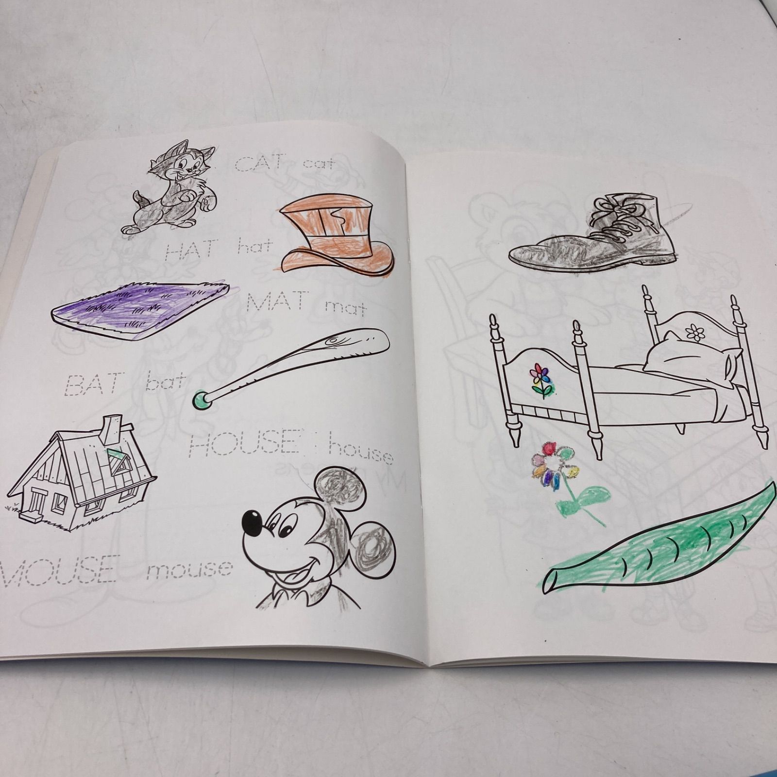 メインプログラムとミッキーメイト ディズニー英語システム DWE