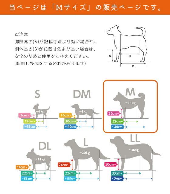 防止 リハビリ