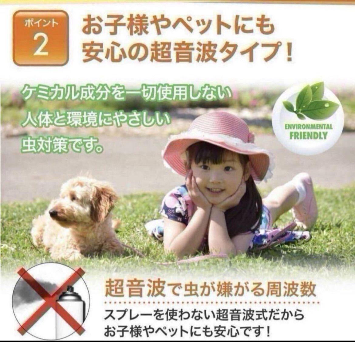 カメムシネズミ退治