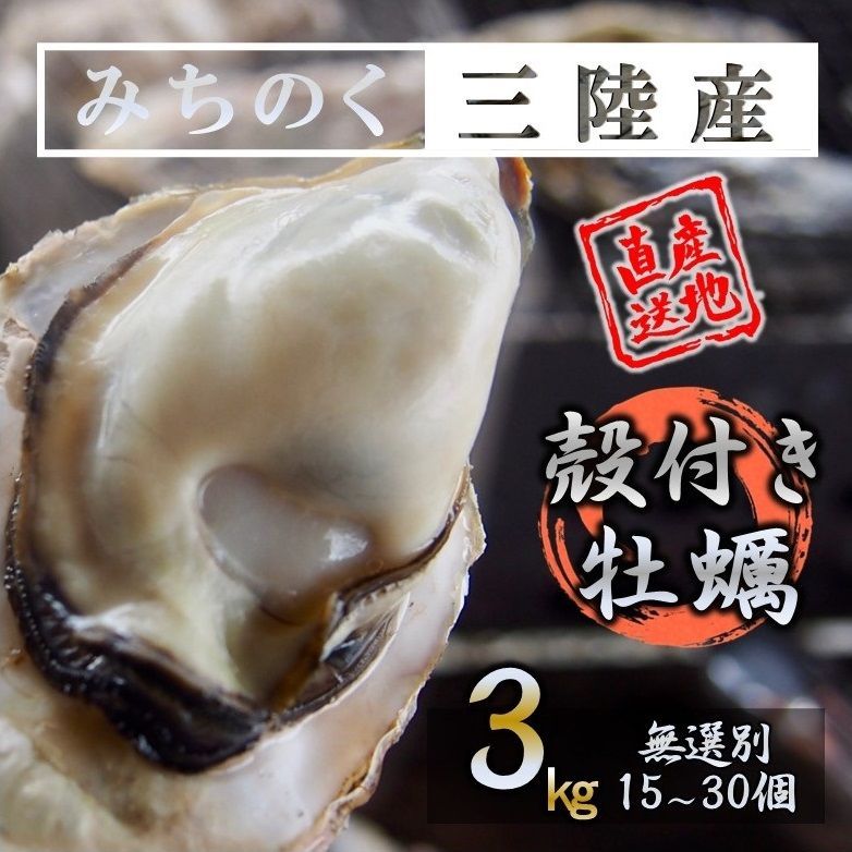 牡蠣 みちのく三陸産 殻付き牡蠣 3kg 産地直送 日持ち抜群 加熱用  亜鉛 ミネラル豊富 バーベキュー 鍋 カキフライ 焼く 揚げる 蒸す等 様々な調理に