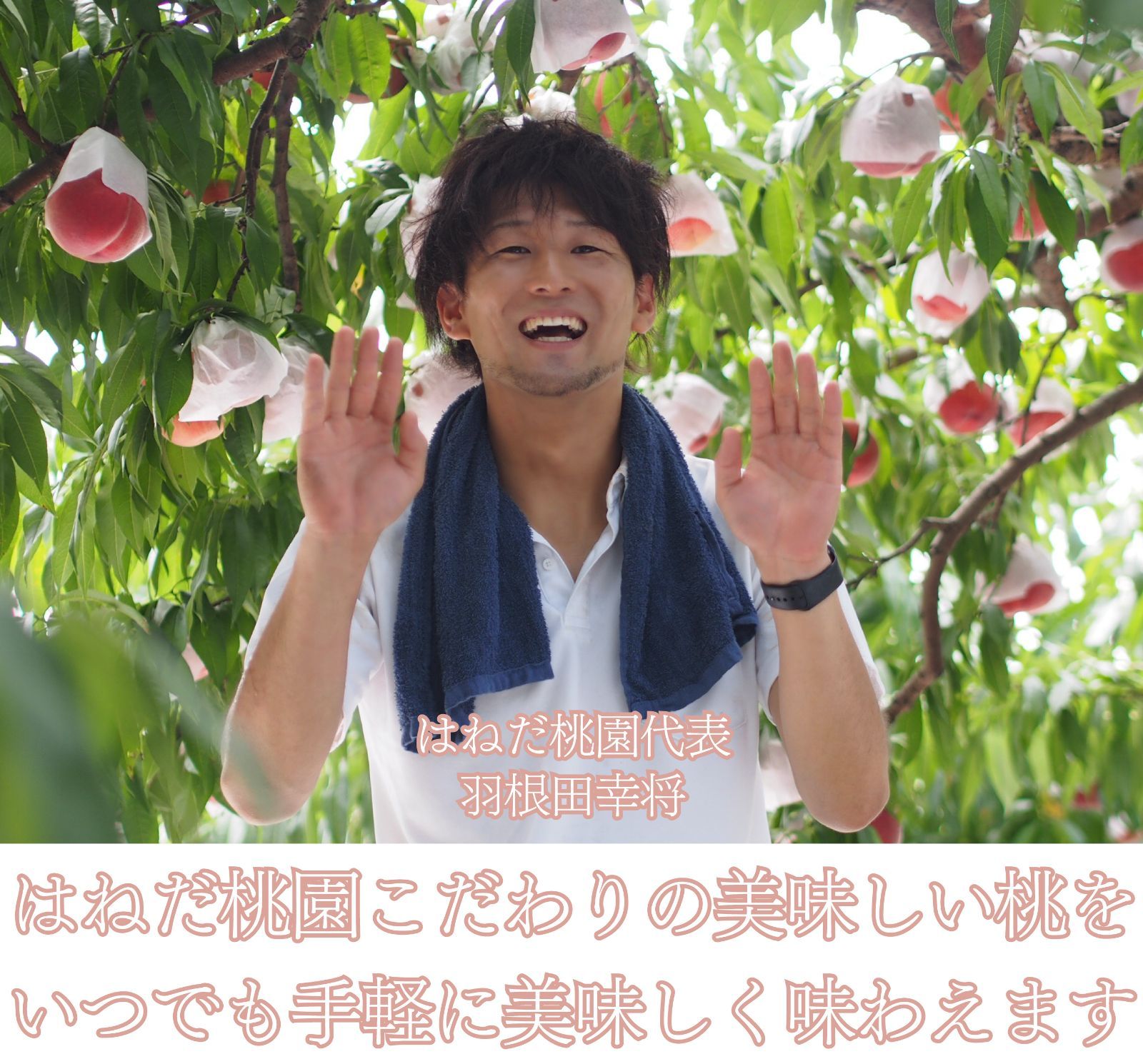 福島の桃　もも茶　４袋セット　ひゃくぶんのいち　ピーチティー-2