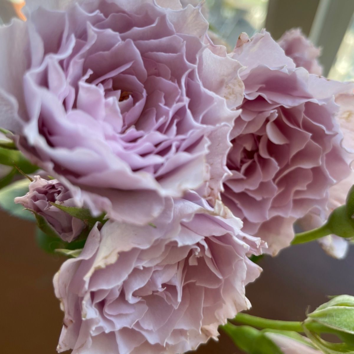 HIUCHI(ヒウチ) バラ Vase 04 M 花瓶 HIUCHI(ヒウチ) バラ Vase 04 M 花瓶