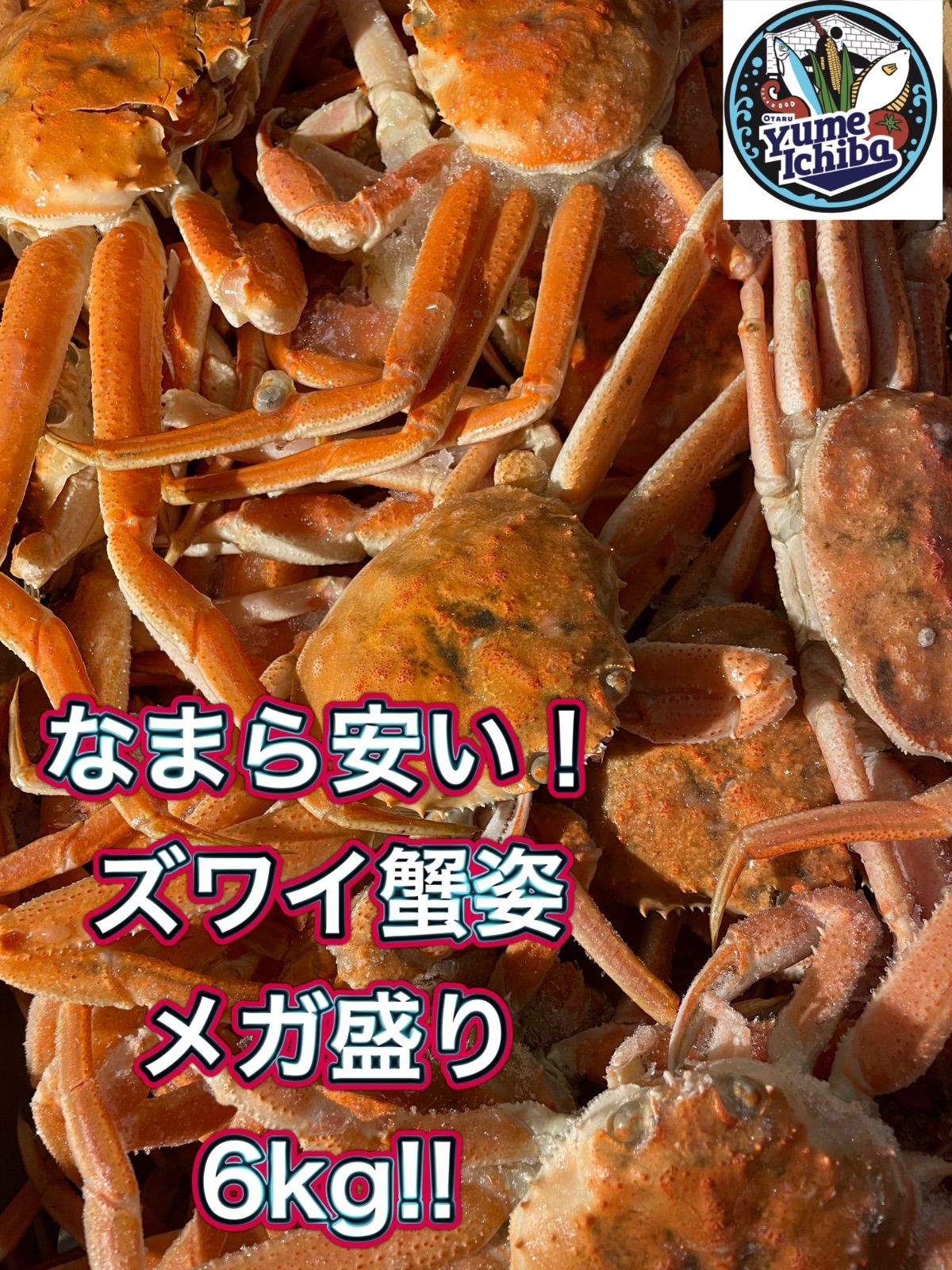 ⚠️なんまら安い⚠️ 北海道産ズワイ蟹姿　メガ盛り6kg🦀