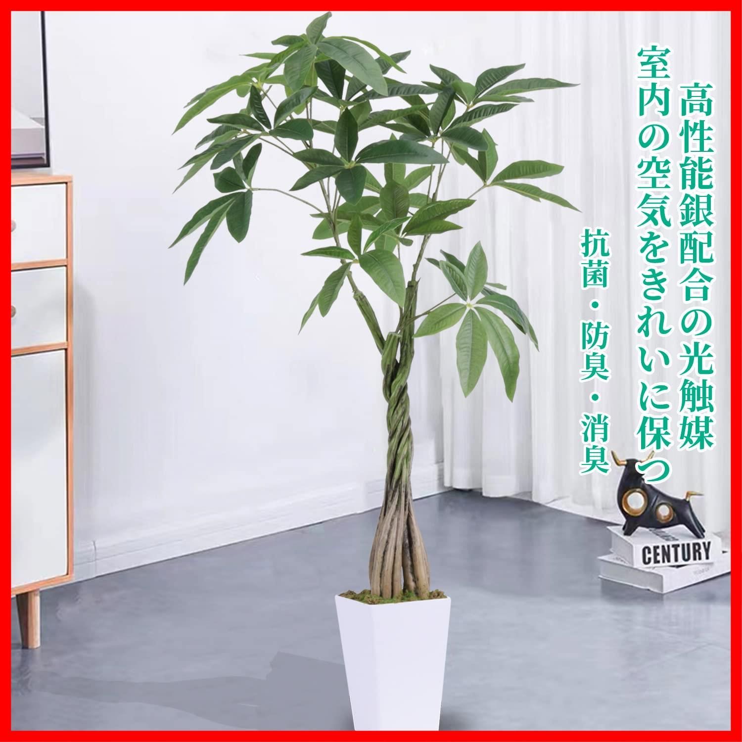 植木