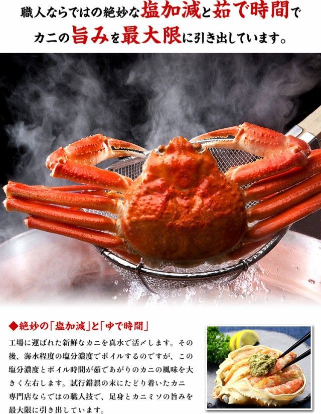 鍋 甲羅組