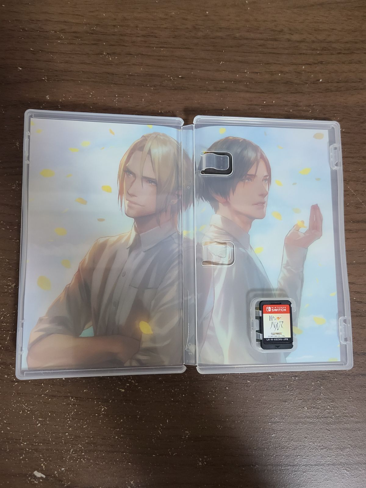 Switch】囚われのパルマ デラックス エディション