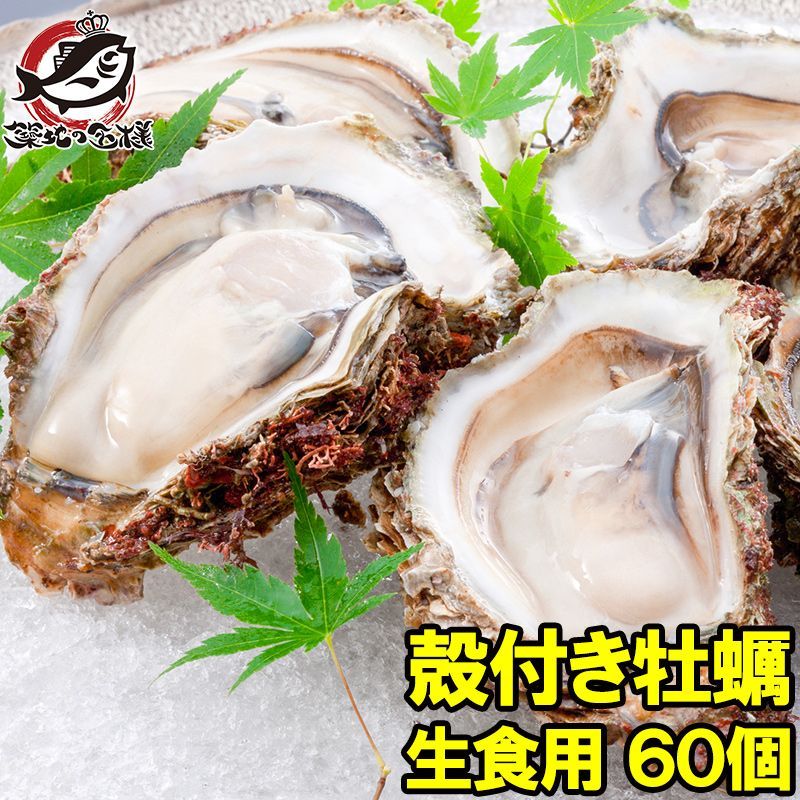 生牡蠣 殻付き 生食用カキ 生牡蠣 60個入り 冷凍殻付き牡蠣 生食用 新製法で冷凍なのに生食 な殻付き牡蠣 冷凍 生ガキ かき カキ 牡蛎 焼き牡蠣 バーベキュー 牡蠣鍋 カキフライ 牡蠣フライ 築地市場 豊洲市場 ギフト