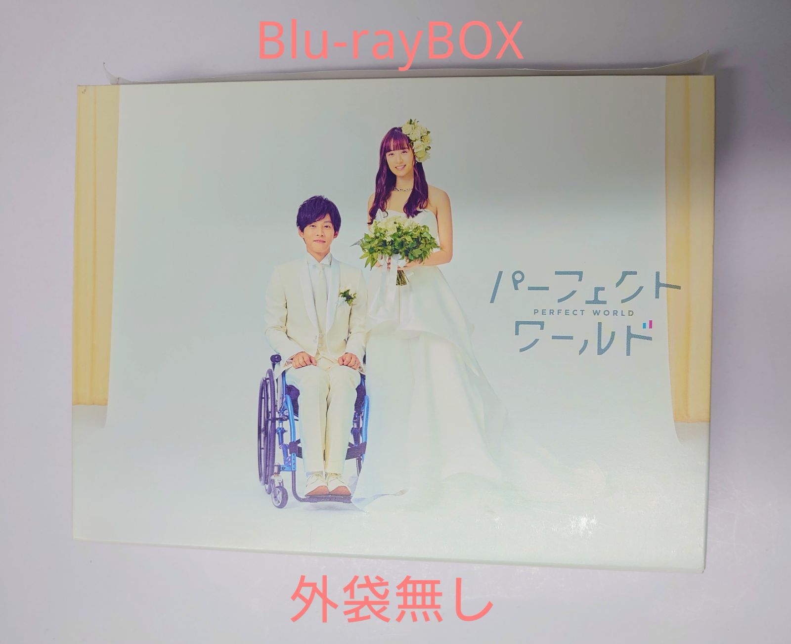 パーフェクトワールド DVD BOX 松坂桃李