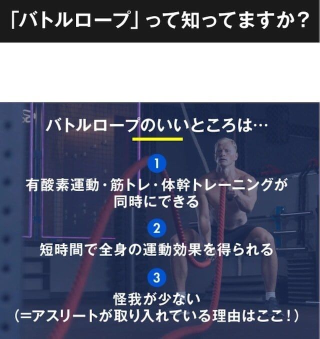 人気/新品/未使用 ロープのいらないバトルロープ 持って上下に振るだけ イエロー Z-ROPE】 新品 未使用 ロープのいらないバトルロープ 持って上下