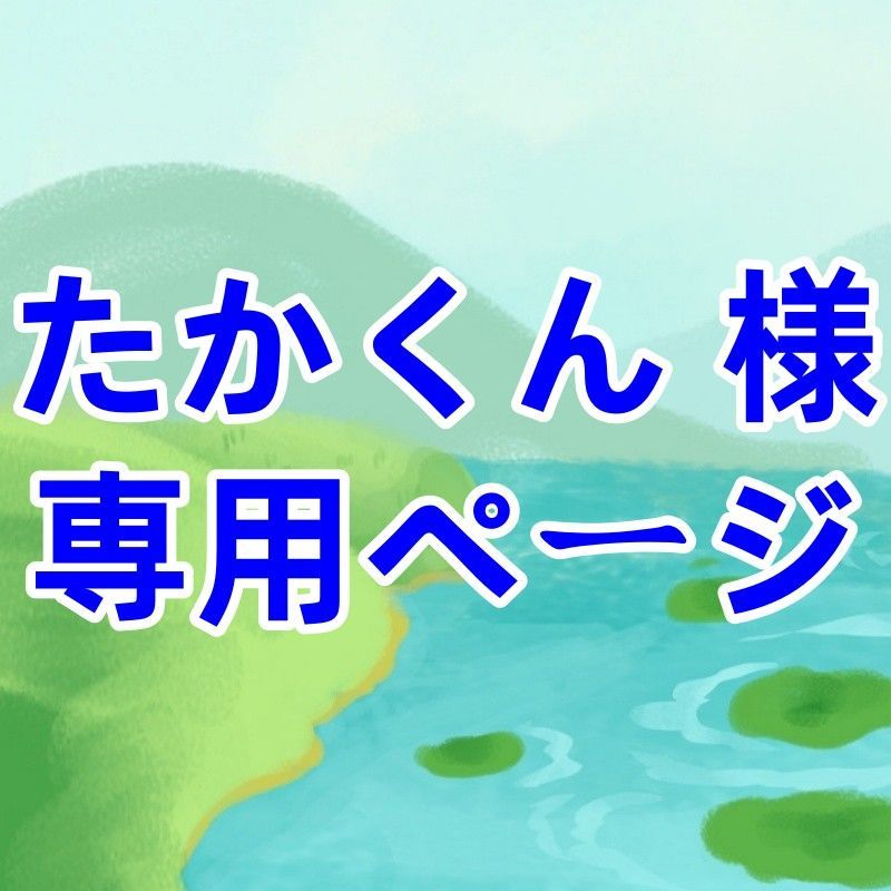 たかくん 様 専用ページ - メルカリ たかくん 様 専用ページ - メルカリ