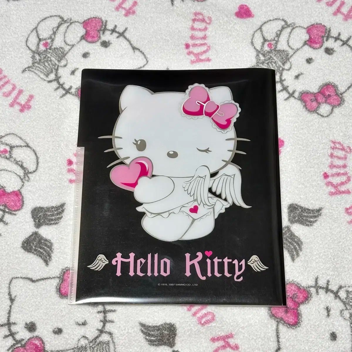 絵画 葉 祥明 「ジェイクとうみねこ」 動物 額装 ヒーリングアート