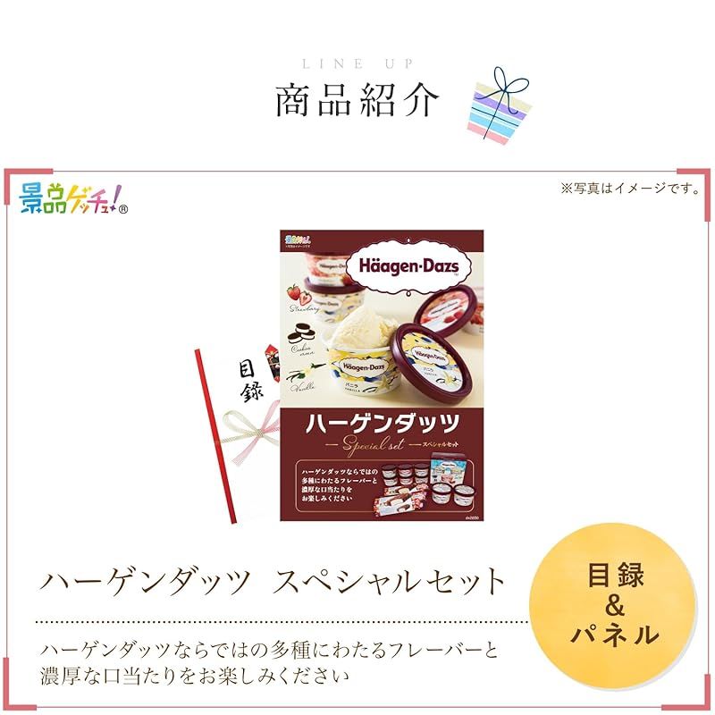 セット ハーゲンダッツ セレクトBOX 目録 パネル 二次会 ビンゴ ゴルフ コンペ 結婚式 ゲッチュ 0