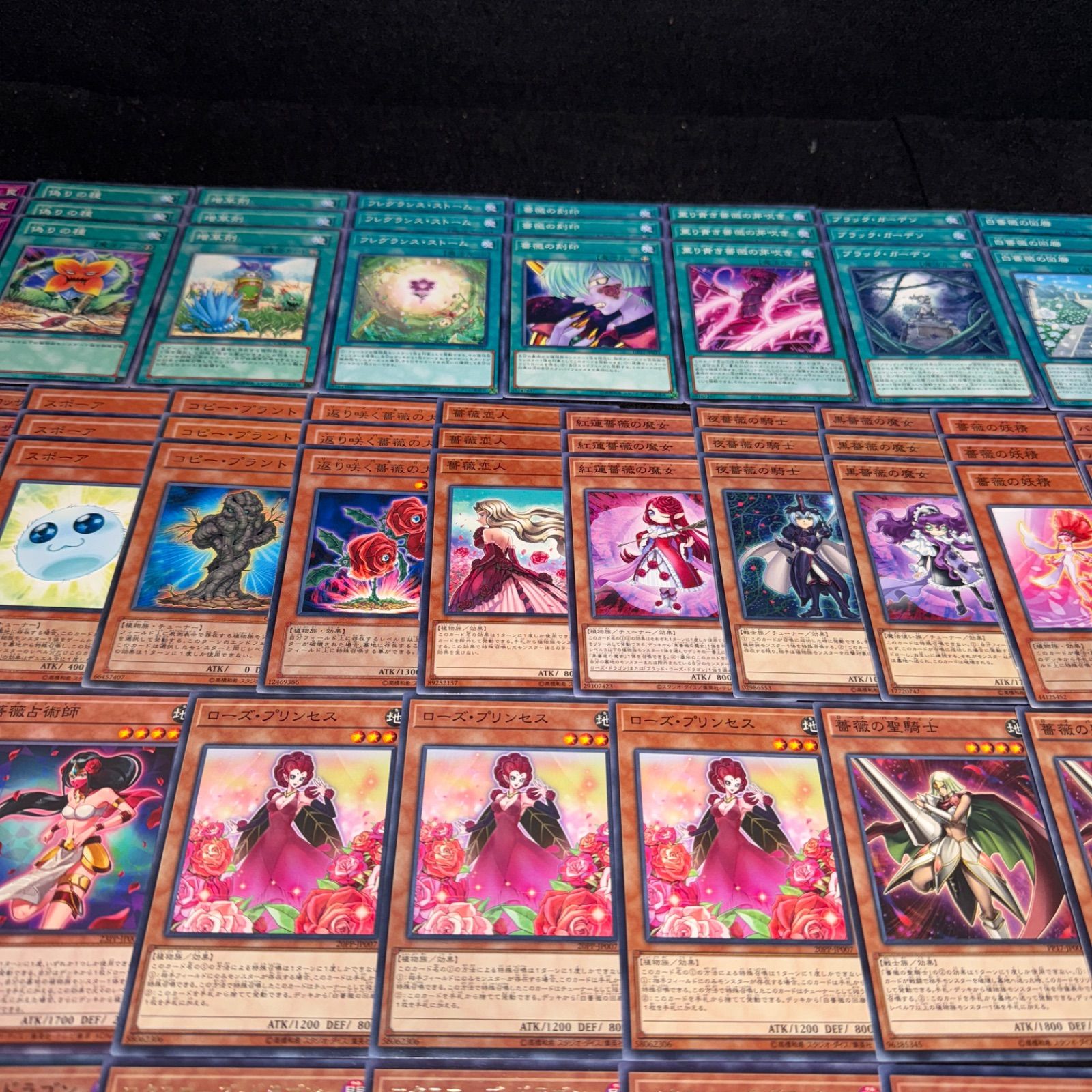 遊戯王 NO.P981 デッキ構築 ローズドラゴン 十六夜アキ デッキ