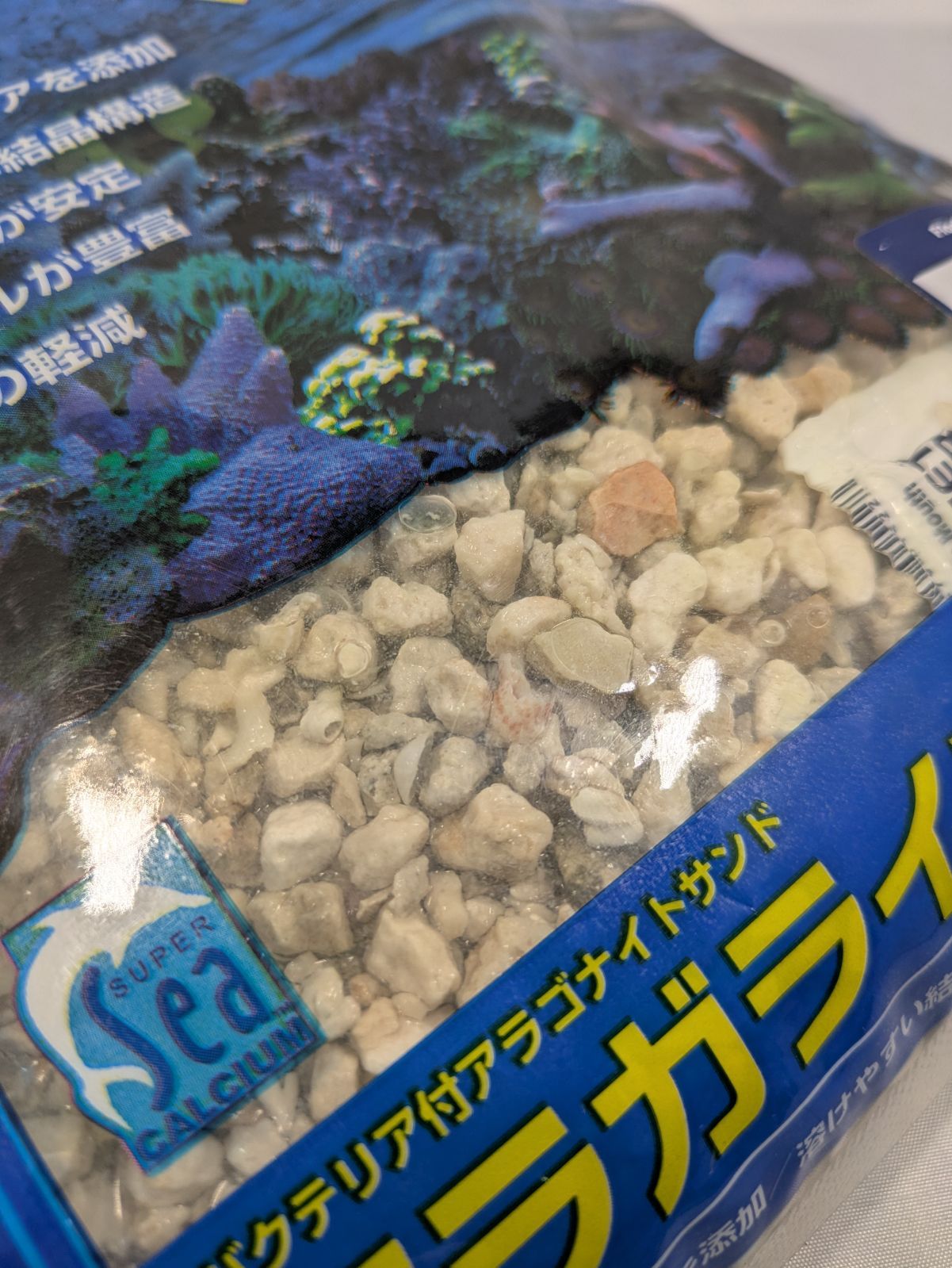 カミハタ アラガライブ