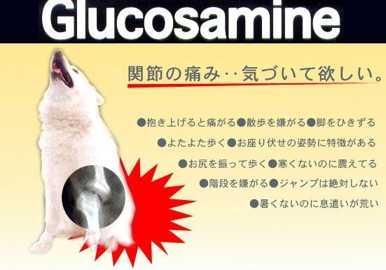 徳用袋タイプ500粒入り 犬用グルコサミン
