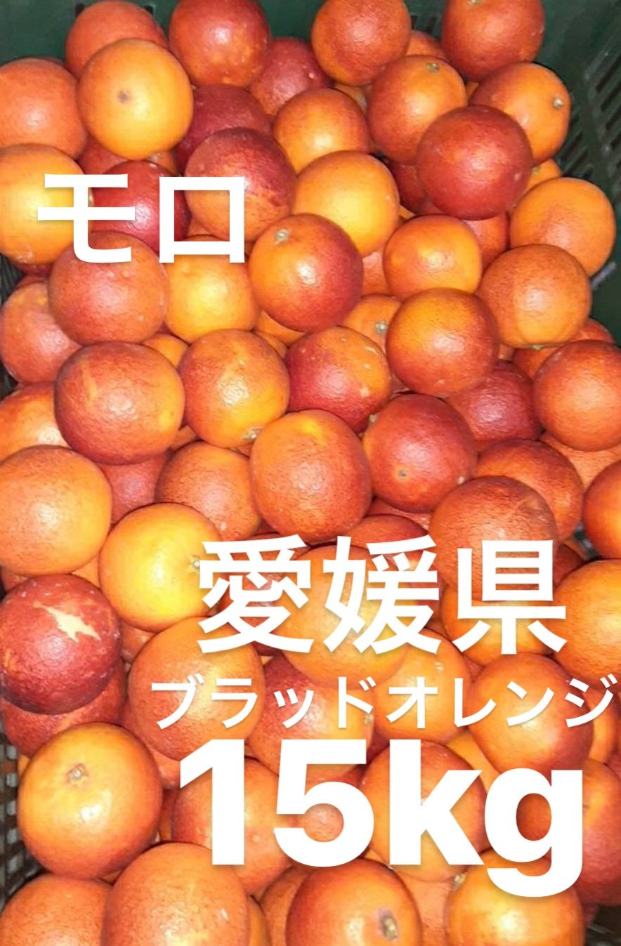 愛媛県産 ブラッドオレンジ モロ 柑橘 15kg - 果物