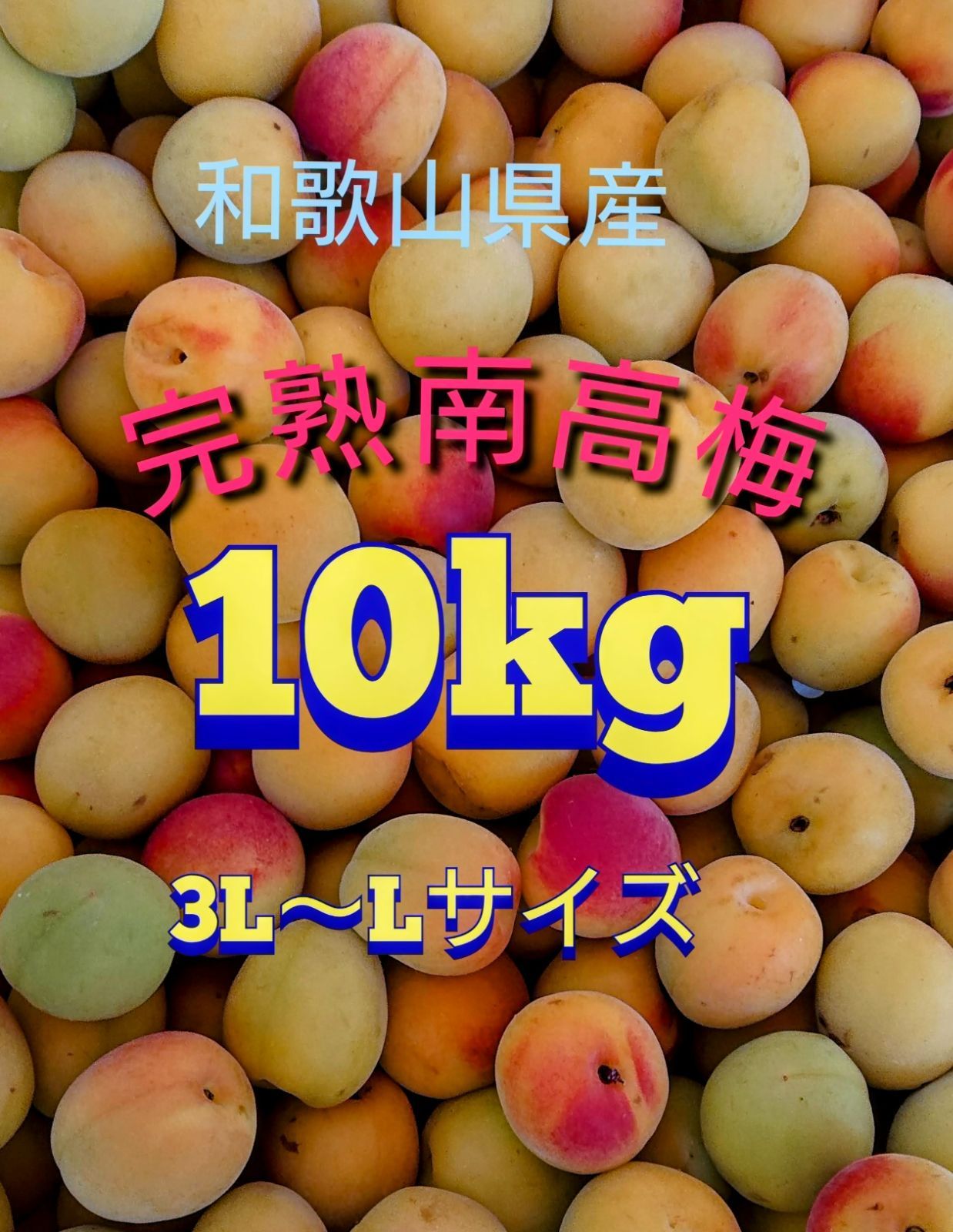 南高梅 完熟20kg 家庭用和歌山県産