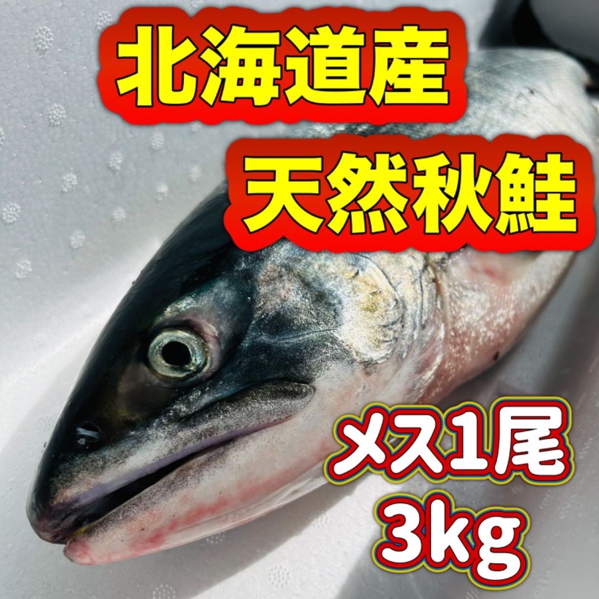 北海道産2024秋・新物 天然秋鮭メス3.0kg（生筋子入り） ※希望があれば頭除去も対応 鮭 さけ サケ 生筋子 鮮魚 いくら醤油漬け ホタテ -  メルカリ