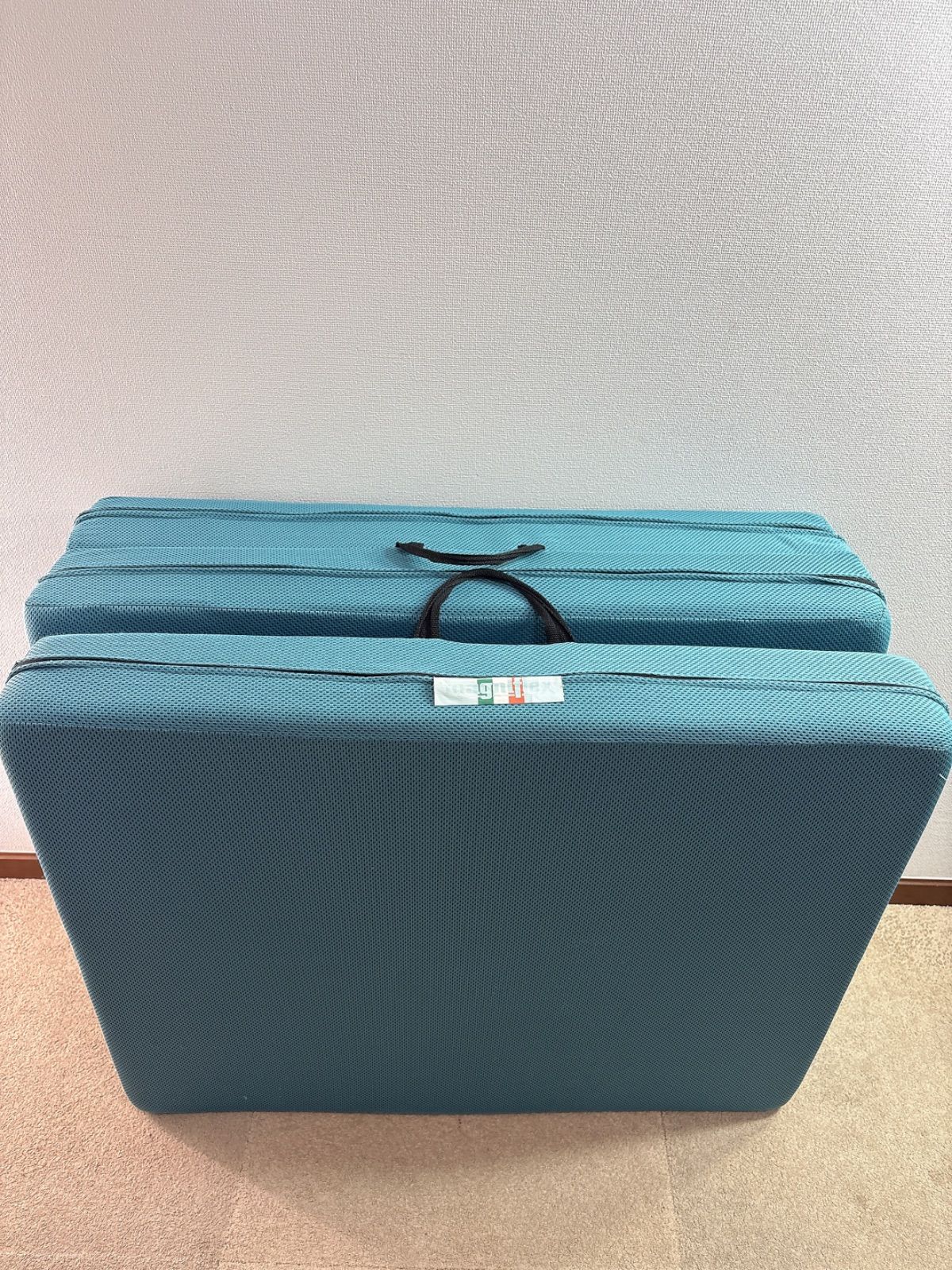 メッシュウィング