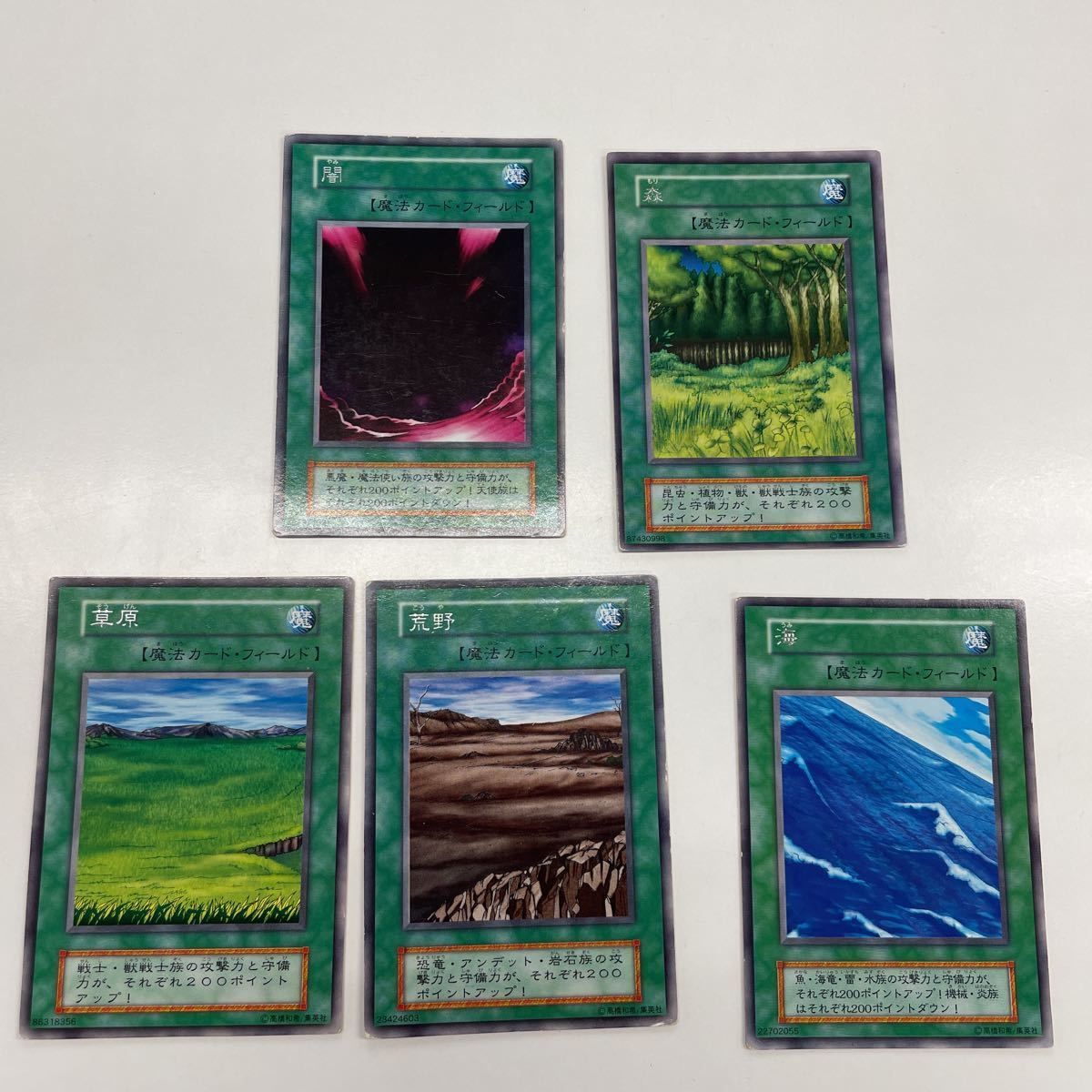 め15 42 遊戯王 カード トーディングカード 初期 フィールド魔法