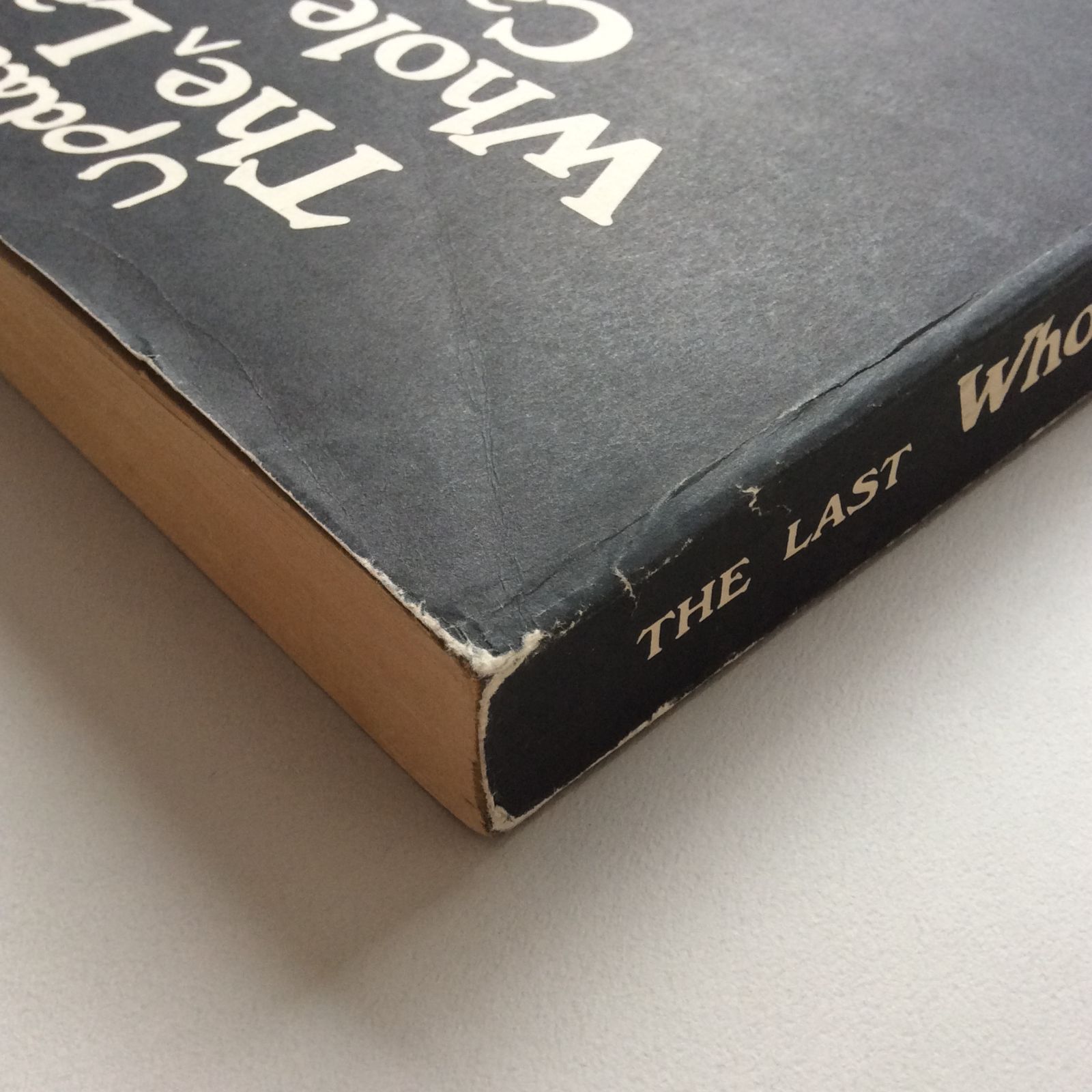 The Updated Last Whole Earth Catalog / アップデート版ラストホール