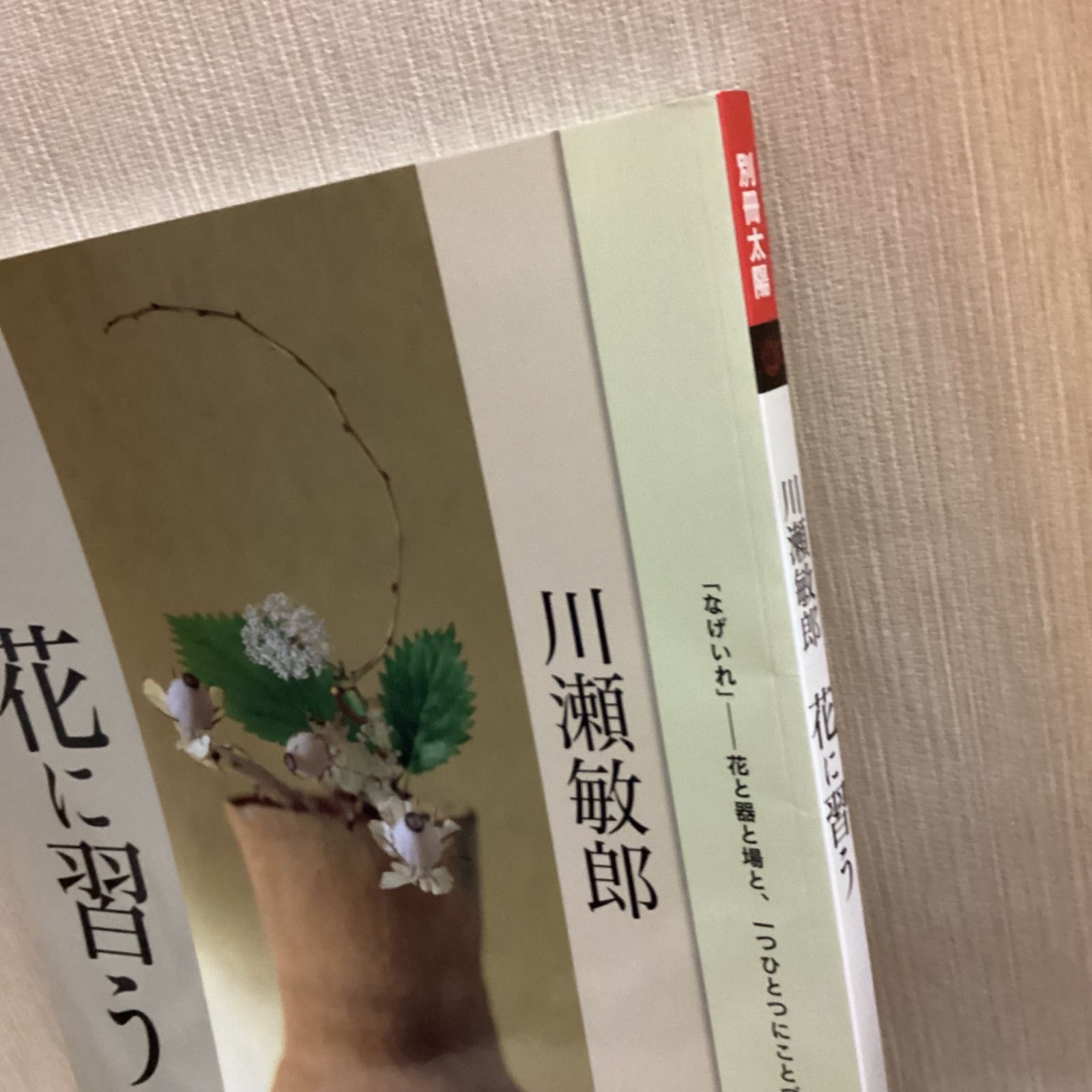 別冊太陽 花に習う 川瀬敏郎 なげいれ 花道 - メルカリ