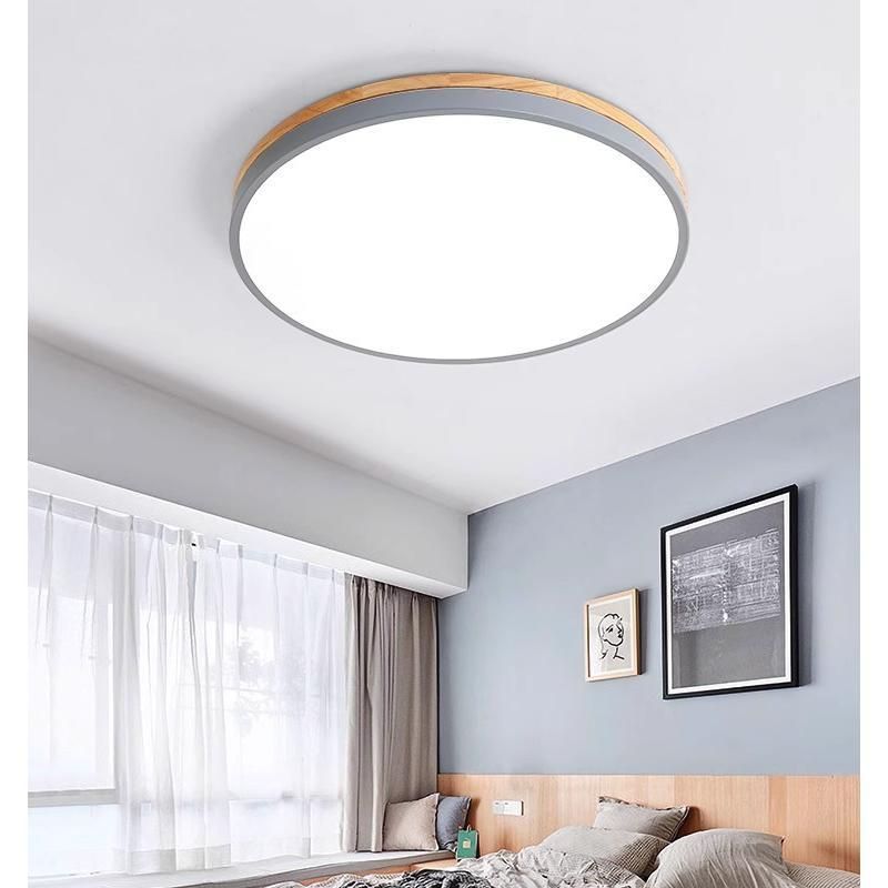 天井照明 照明器具