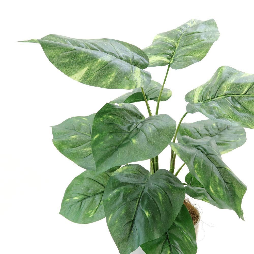 白丸ポットとヤシの繊維付 鉢は取り外し不可