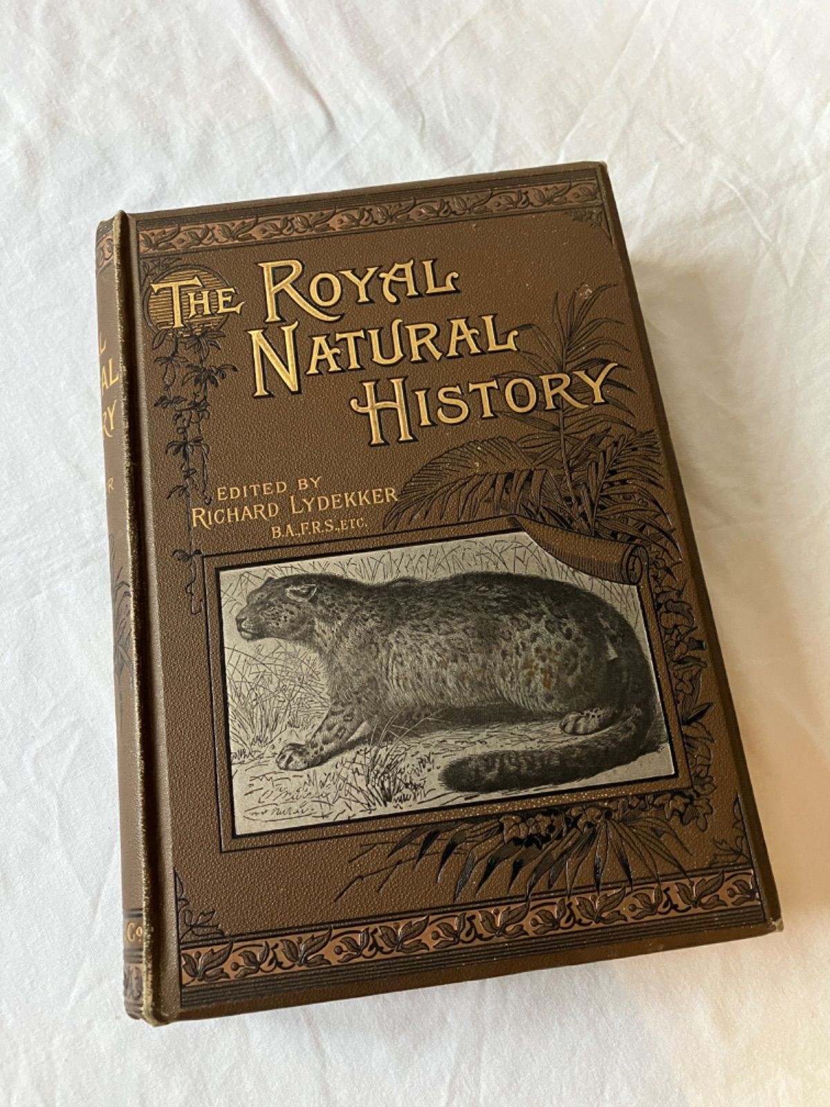 1894年 アンティーク 図鑑 the royal natural history