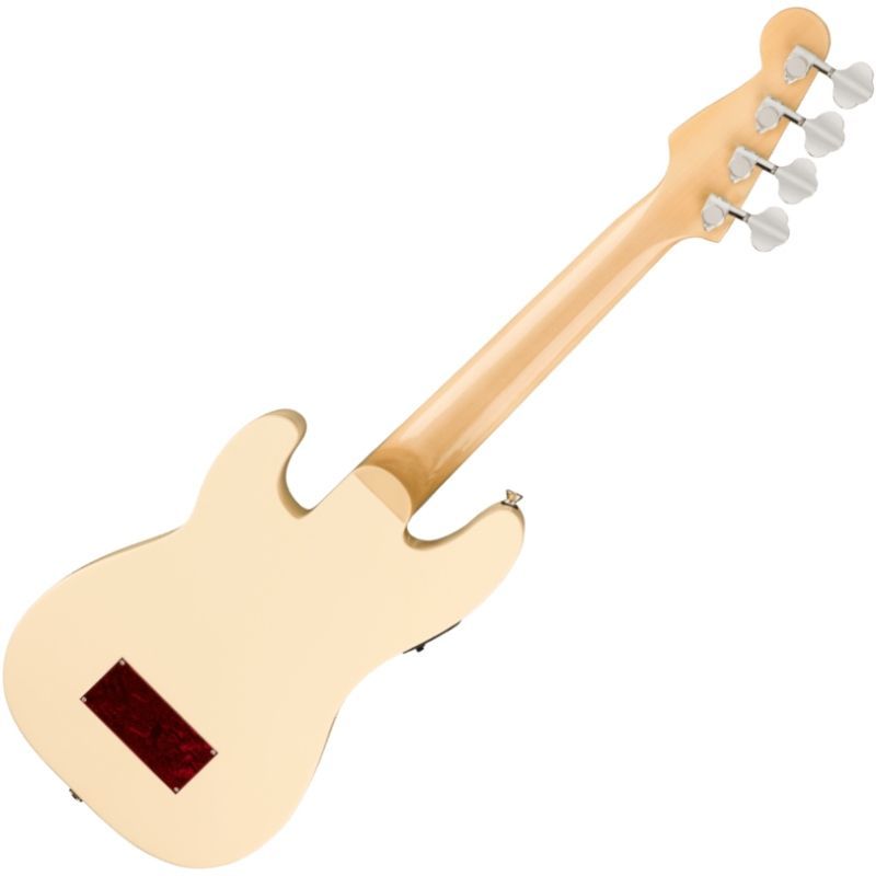 Tortoiseshell Pickguard