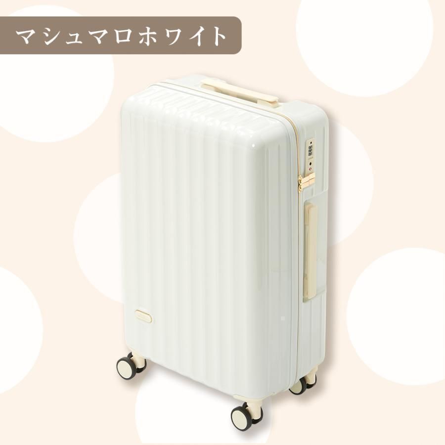 機内持ち込み s