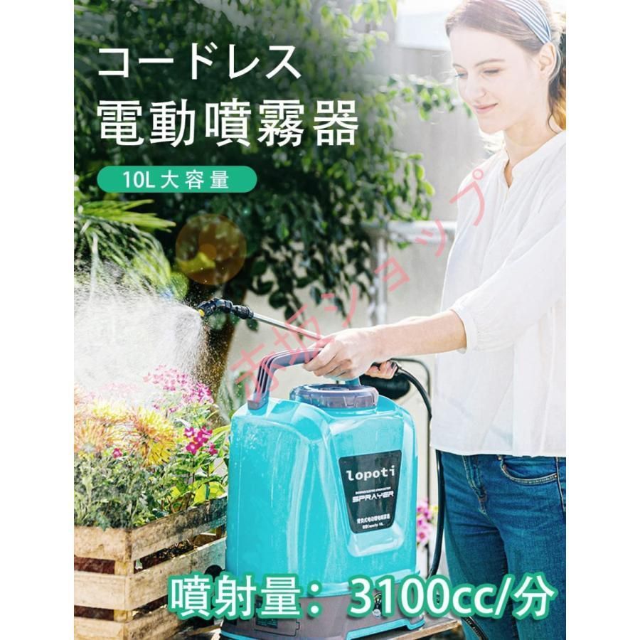 洗車 園芸