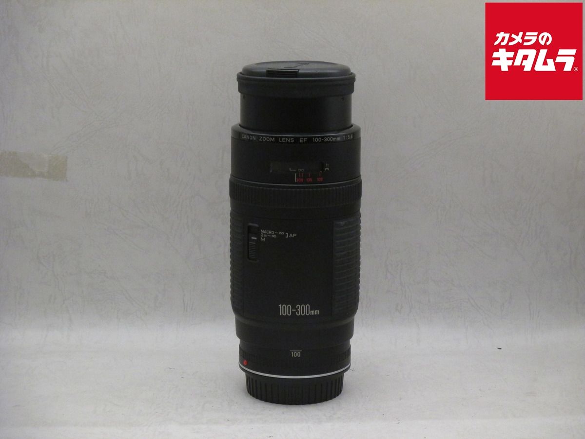 遠くの風景も人物もOK✨Canon EF 100-300 超望遠レンズ キヤノン
