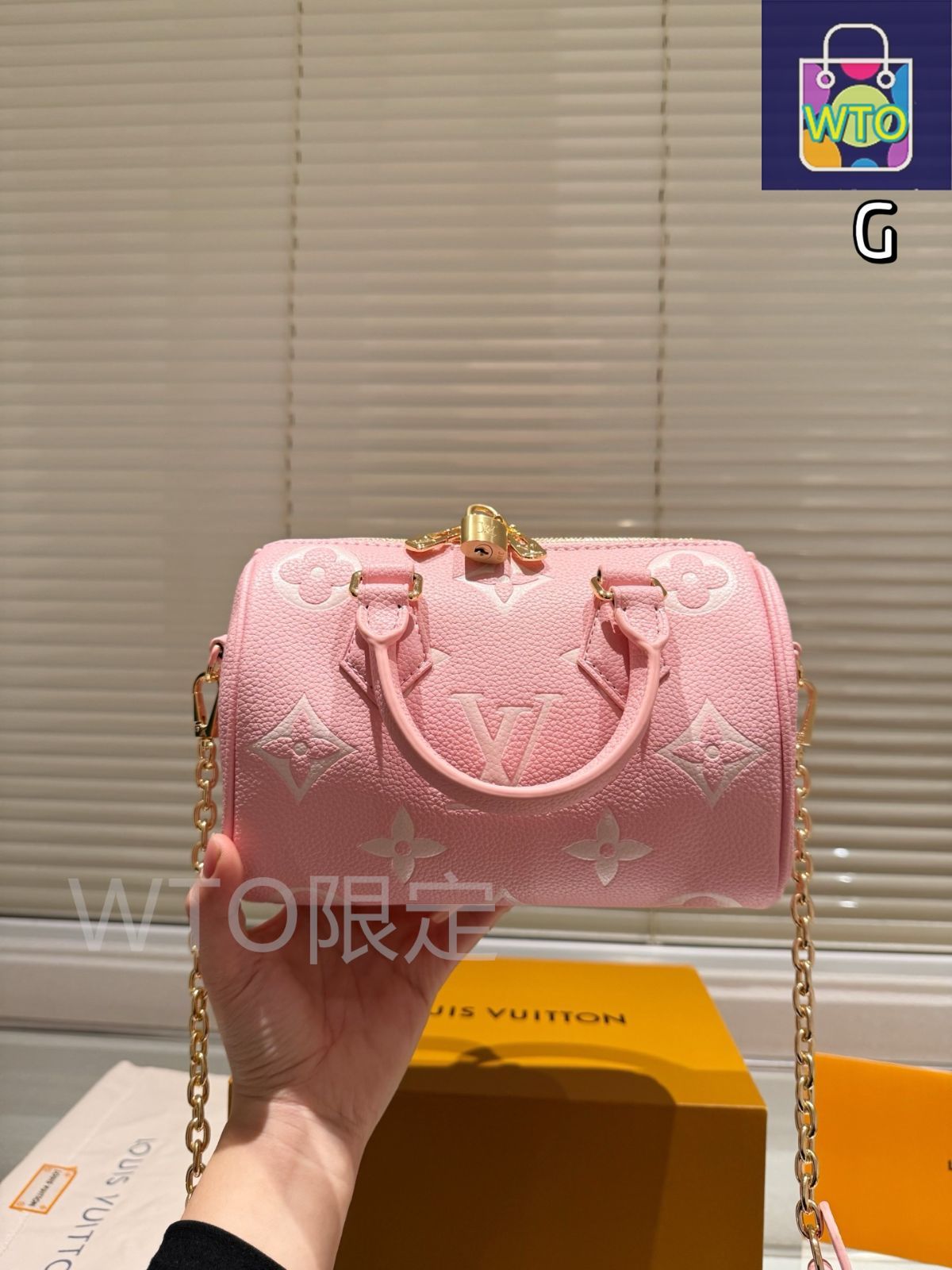 今日特価】Louis Vuitton SPEEDY 20 ピローバッグ - メルカリ