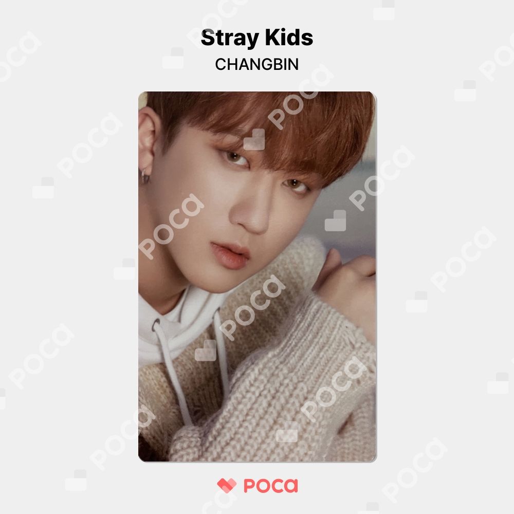 韓国 チャンビン dfesta d'festa 入場チケット トレカ スキズ Stray Kids - チャンビン ソウル dfesta d'festa 入場 トレカ