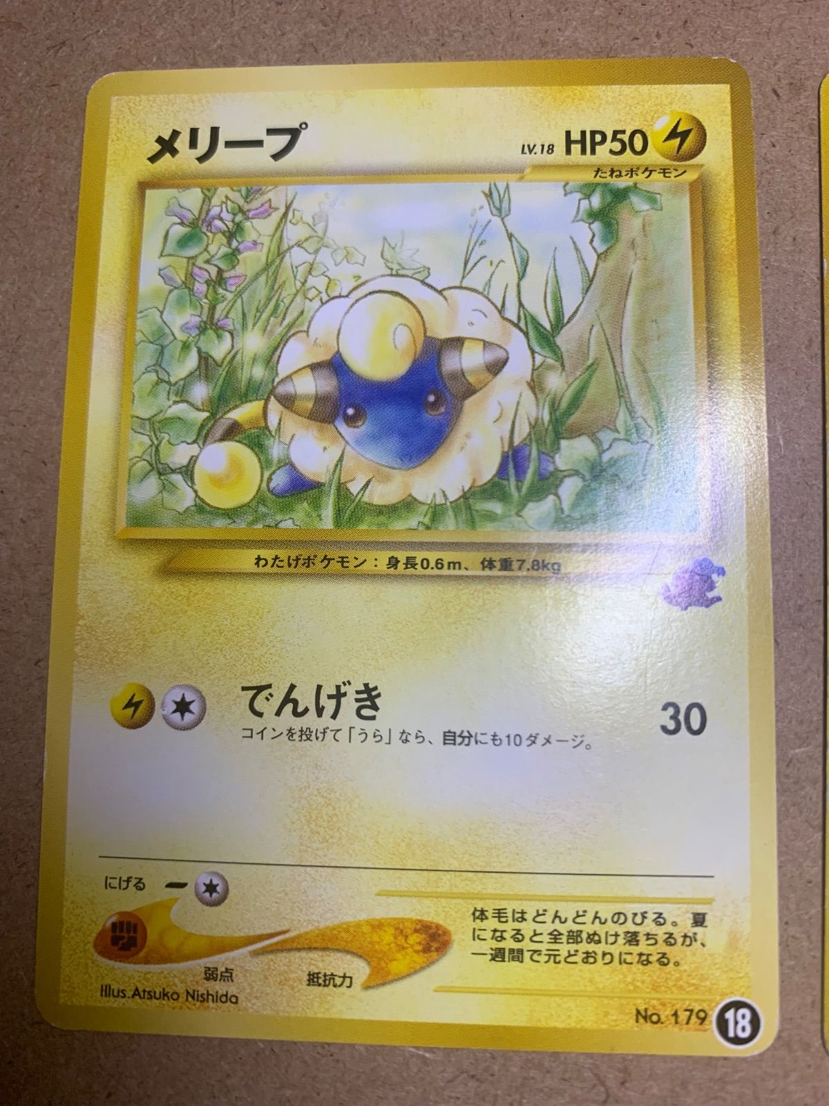 イントロパックのモココ&メリープ(ワニノコマーク) ポケモン