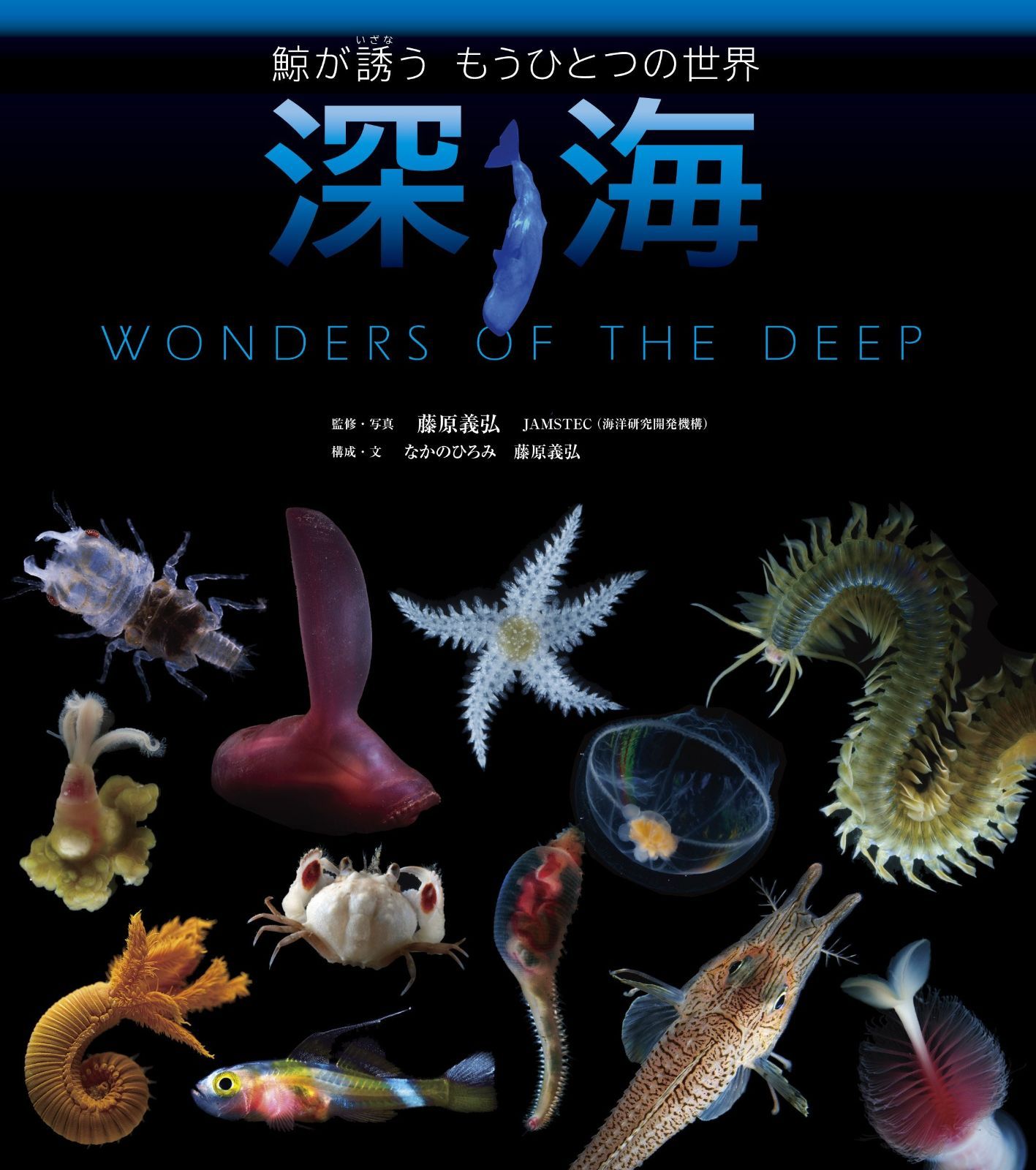 深海 鯨が誘うもうひとつの世界