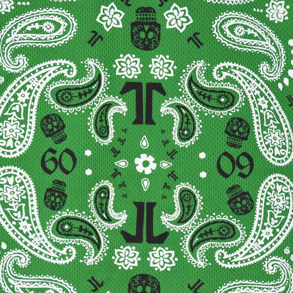 TECHNINEスノーボードウェア 緑色柄