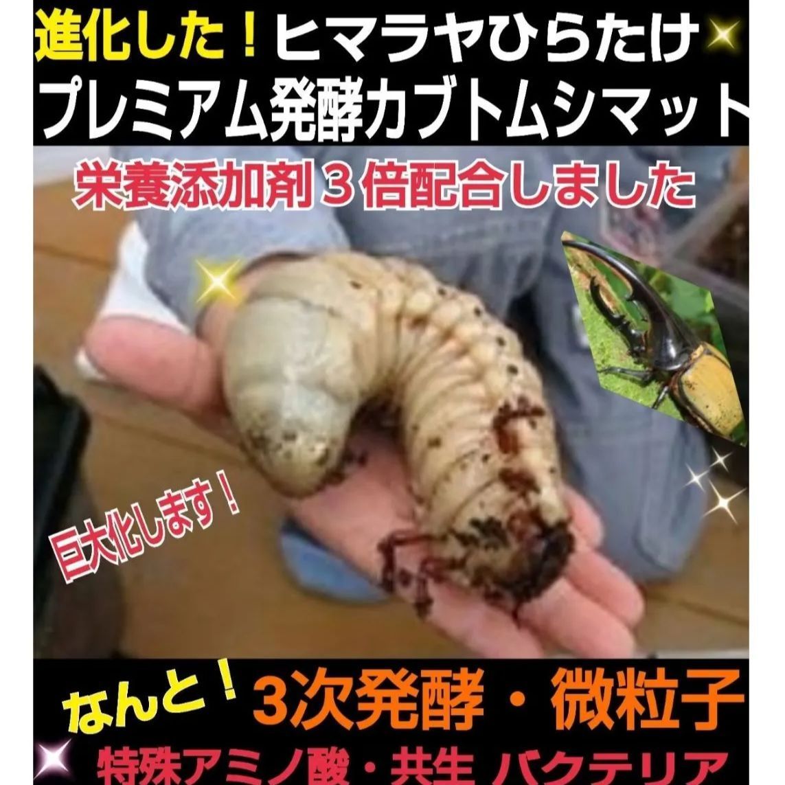 4セット】10リットルケース入☆プレミアム発酵カブトムシマット☆幼虫